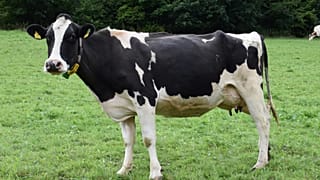 Képünk illusztráció 