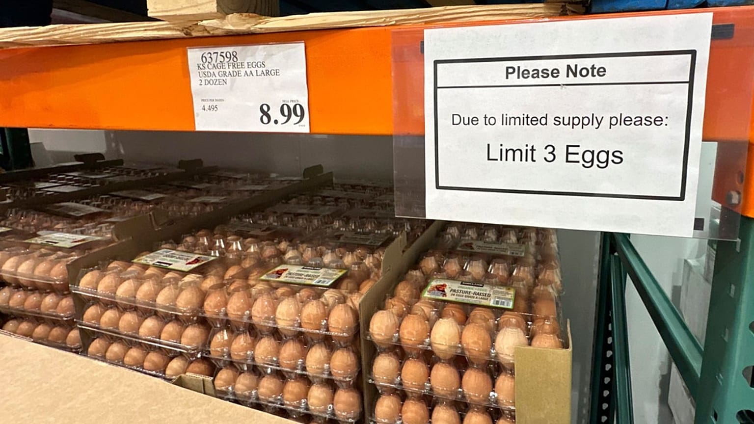 Egg Shortage