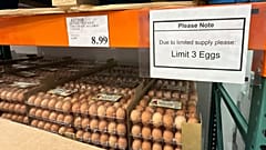 Egg Shortage