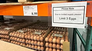 Egg Shortage