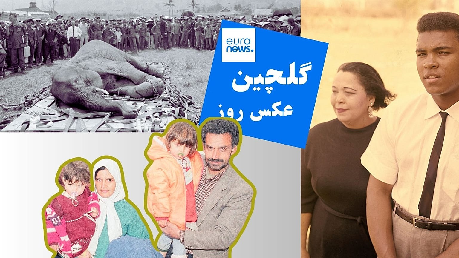 گلچین عکس روز یورونیوز 