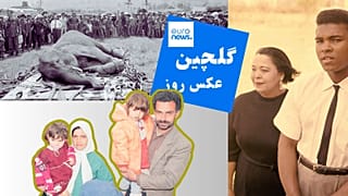 گلچین عکس روز یورونیوز 