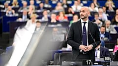 Αντιπρόεδρος της ομάδας ECR, ευρωβουλευτής Nicola Procaccini