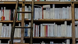 Los derechos de autor suelen ser muy inferiores a los beneficios de las editoriales.