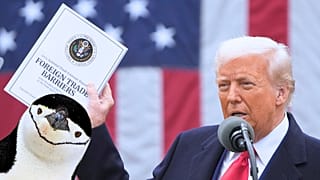 A resistência dos pinguins às tarifas aduaneiras de Trump já começou 