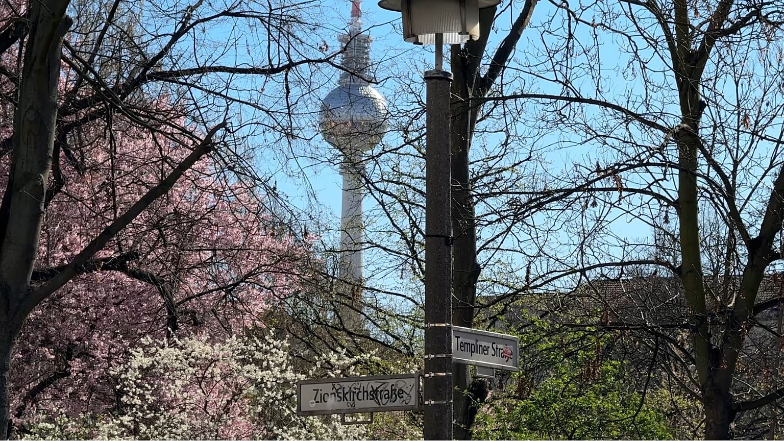 Die Kirschblüte läutet den Frühling ein.