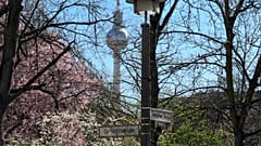Die Kirschblüte läutet den Frühling ein.