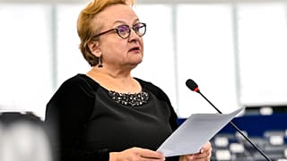Laima Andrikienė, membro della Corte dei conti dell'Ue, al Parlamento europeo nel 2019