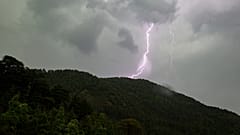صاعقه در جنگل