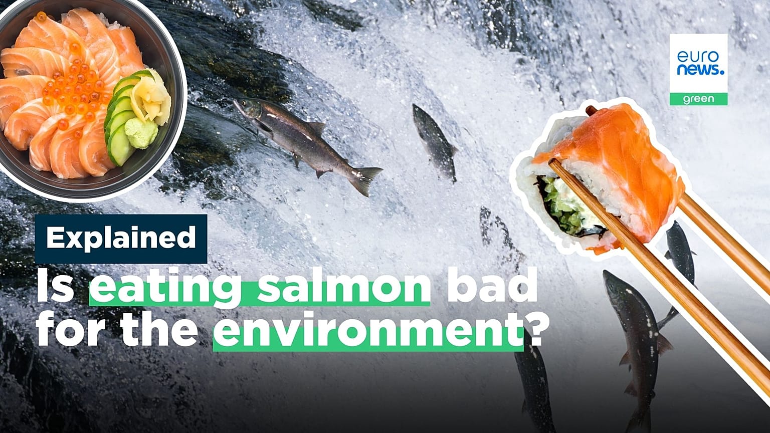 Overcrowded and overfished: is eating salmon bad for the environment?