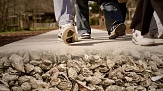 Nic się nie marnuje: przemysł przybrzeżny wykorzystuje muszle ostryg i stare sieci rybackie