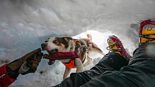 Zen, un border collie, asiste a un entrenamiento con el Cuerpo Nacional de Rescate Alpino y Espeleológico italiano.