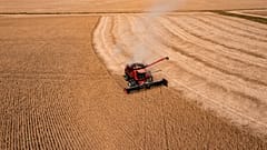 US-Sojabohnen stehen auf der Liste der Produkte, auf die die EU abzielen wird, um den US-Zöllen auf Stahl und Aluminium aus der EU zu begegnen.