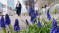 Kobieta przechodzi przez centrum Warszawy.