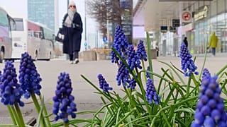 Kobieta przechodzi przez centrum Warszawy.