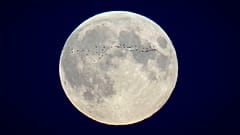 Luna piena.