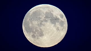 Lua cheia.