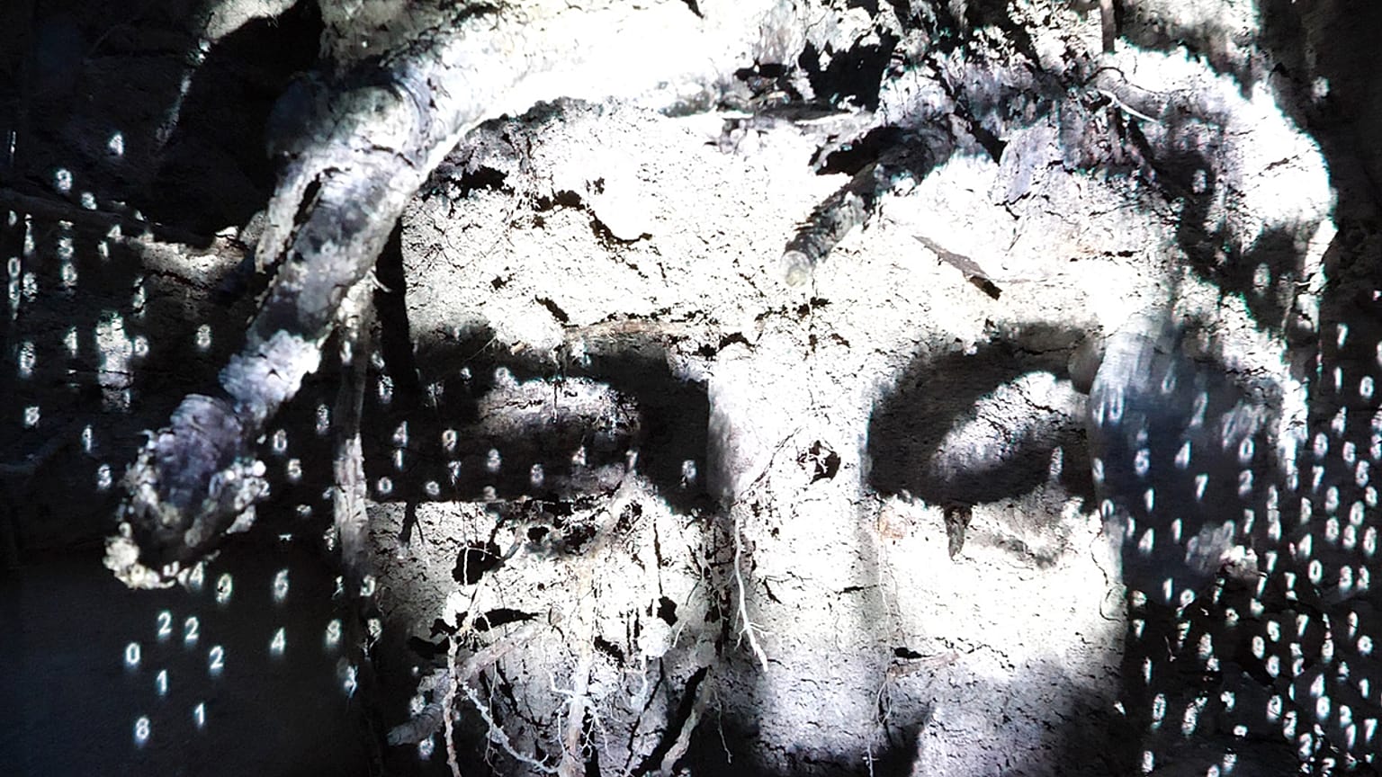 Charles Sandison, Garden of Pythia, 2025 