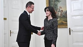 Мака Бочоришвили, глава МИД Грузии