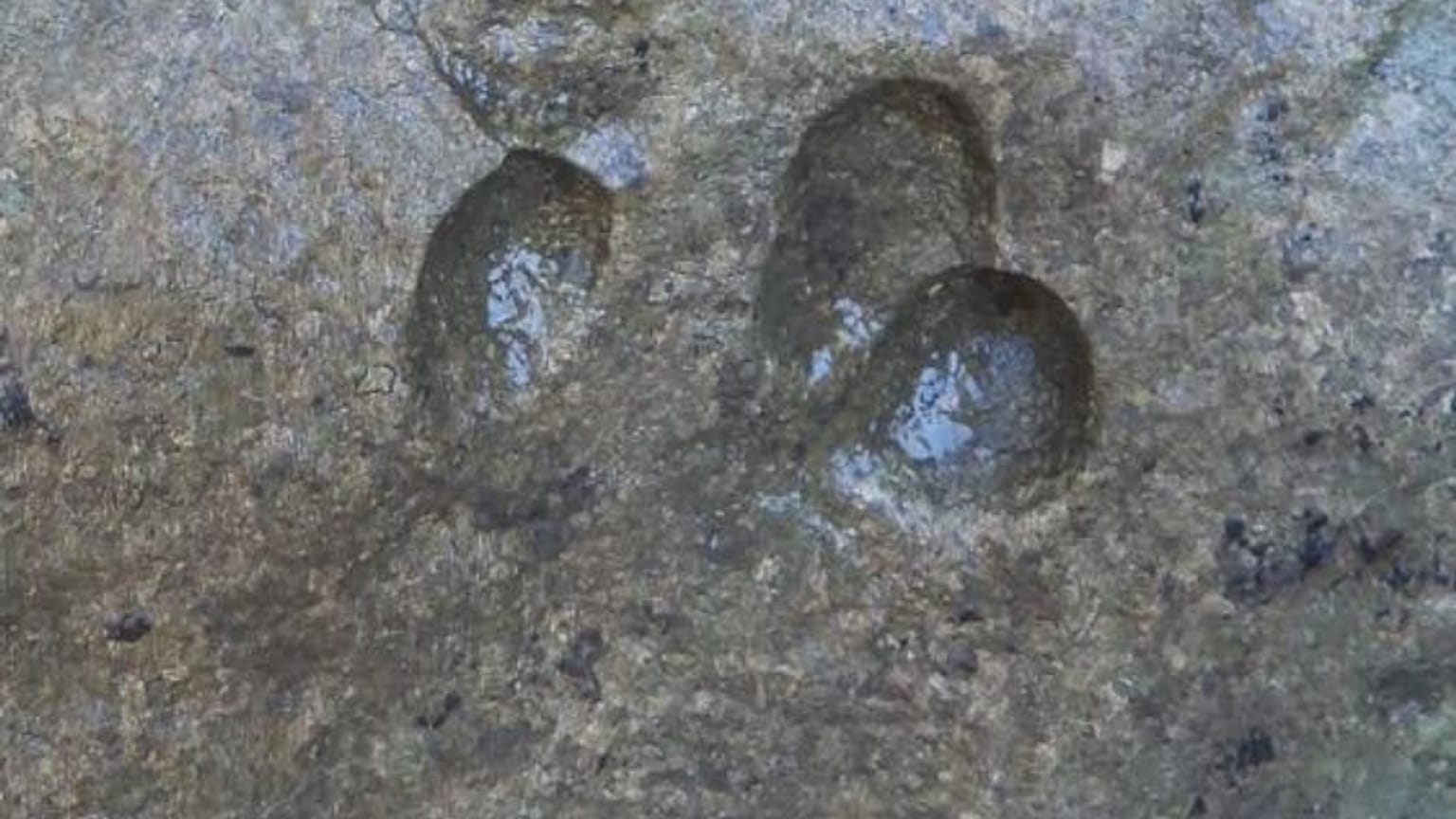 Dinoszaurusz nyomokat találtak Szardínián