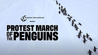 La "marche de protestation" des manchots contre les droits de douane de Donald Trump aura lieu cette semaine