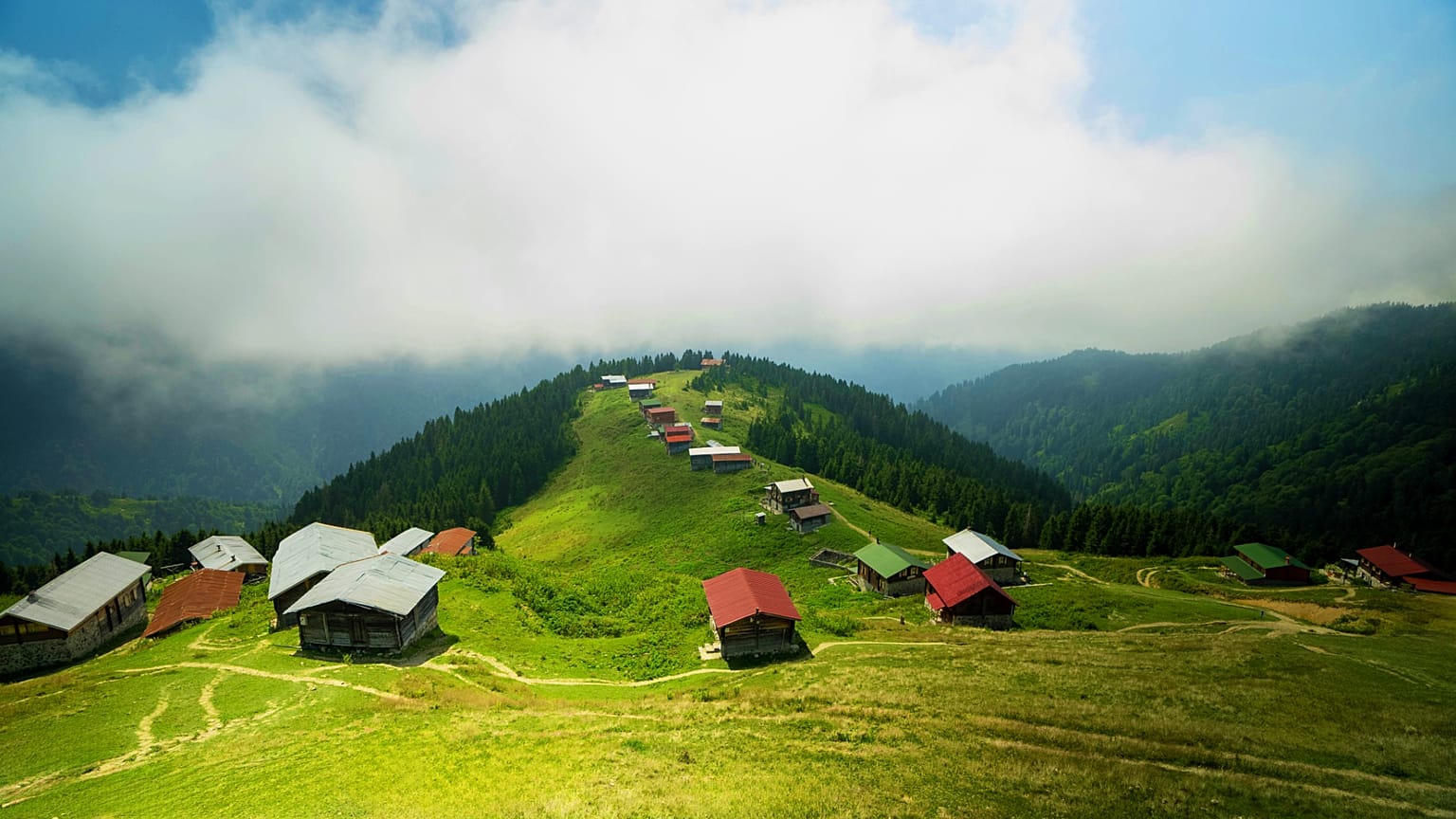 Pokut Plateau