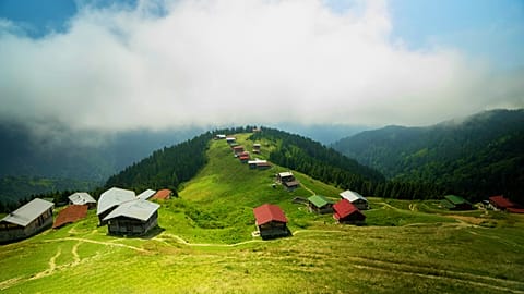 Pokut Plateau
