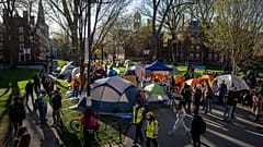 Палатки на акции протеста в Гарвардском университете