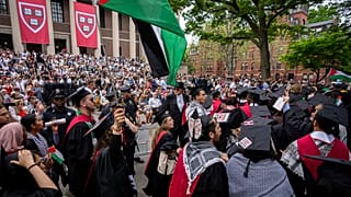 2024-es megmozdulás a Harvardon
