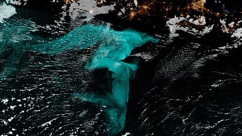 For centuries, sailors have told tales of milky seas – huge swaths of ocean glowing on dark nights, seen in blue in this false–colour satellite image. 