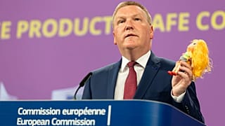 Michael McGrath, Avrupa Komisyonu'nun Demokrasi, Adalet, Hukukun Üstünlüğü ve Tüketicinin Korunmasından Sorumlu Üyesi