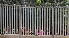 Miembros de un grupo de unos 30 migrantes en busca de asilo en Bialowieza, Polonia, el 28 de mayo de 2023