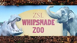 Eine allgemeine Ansicht des Eingangs zum Whipsnade Zoo in Bedfordshire, 19. November 2014