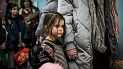 Украина лишилась десятков тысяч детей, насильно вывезенных Россией.