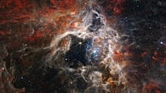 Das Sternentstehungsgebiet des Tarantelnebels, aufgenommen mit dem James Webb Weltraumteleskop, 6. September 2022