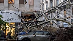 Un albero caduto su auto parcheggiate a Milano a causa del forte vento e della pioggia (17 aprile 2025)