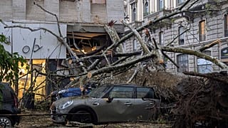 Ein umgestürzter Baum nach starkem Wind und Regen in Mailand, Italien, Donnerstag, 17. April 2025.