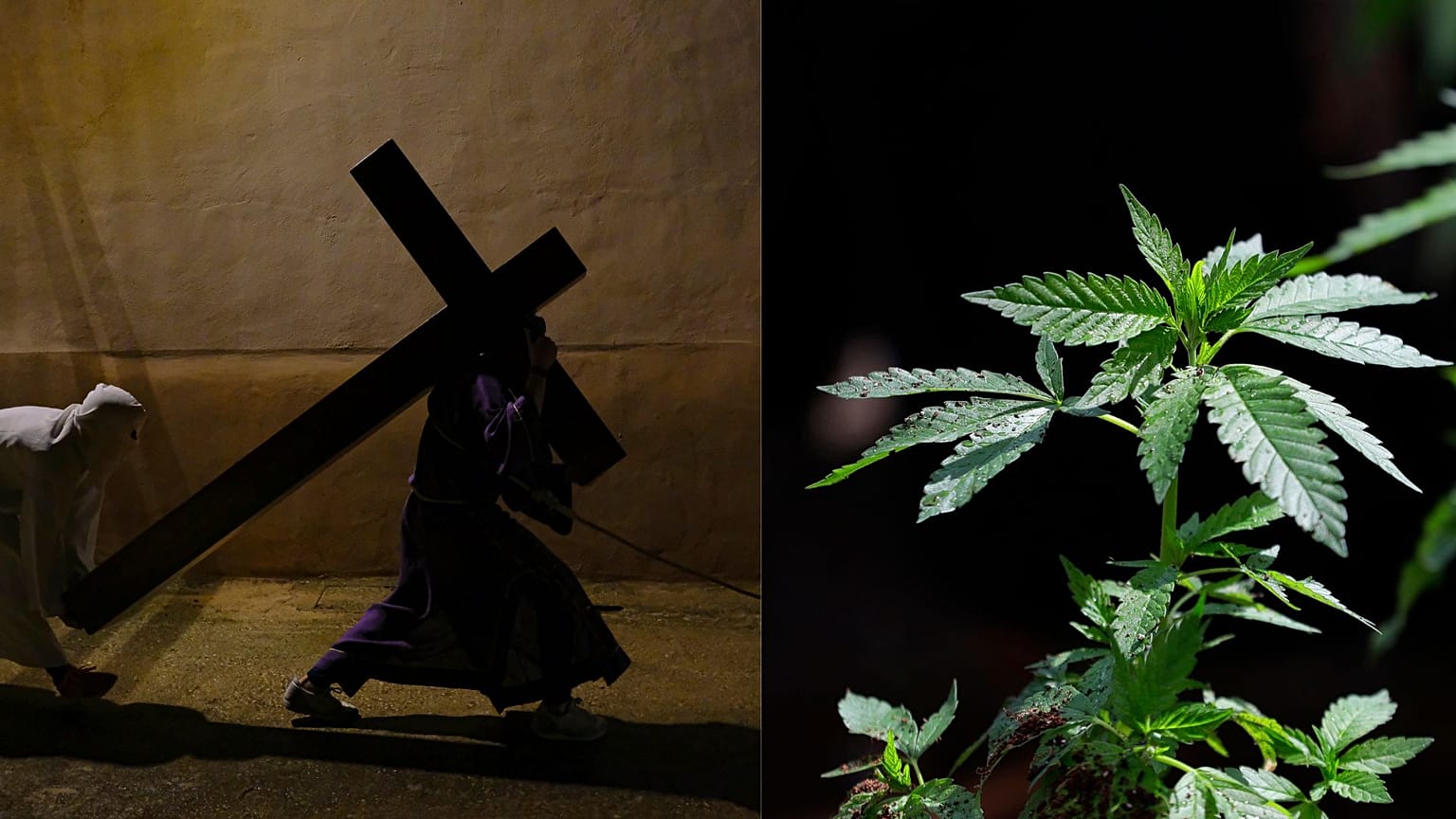 La Giornata mondiale della cannabis quest'anno coincide con la Pasqua 