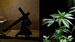 Día mundial de la marihuana en Pascua