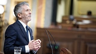 Fernando Grande Marlaska, ministro del Interior, en la sesión plenaria del 9 de abril