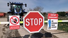 Wie bekämpft die Europäische Union den jüngsten Ausbruch der Maul- und Klauenseuche?