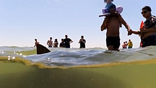 Un tiburón nada cerca de personas en el mar Mediterráneo en Hadera, Israel, el sábado 19 de abril de 2025