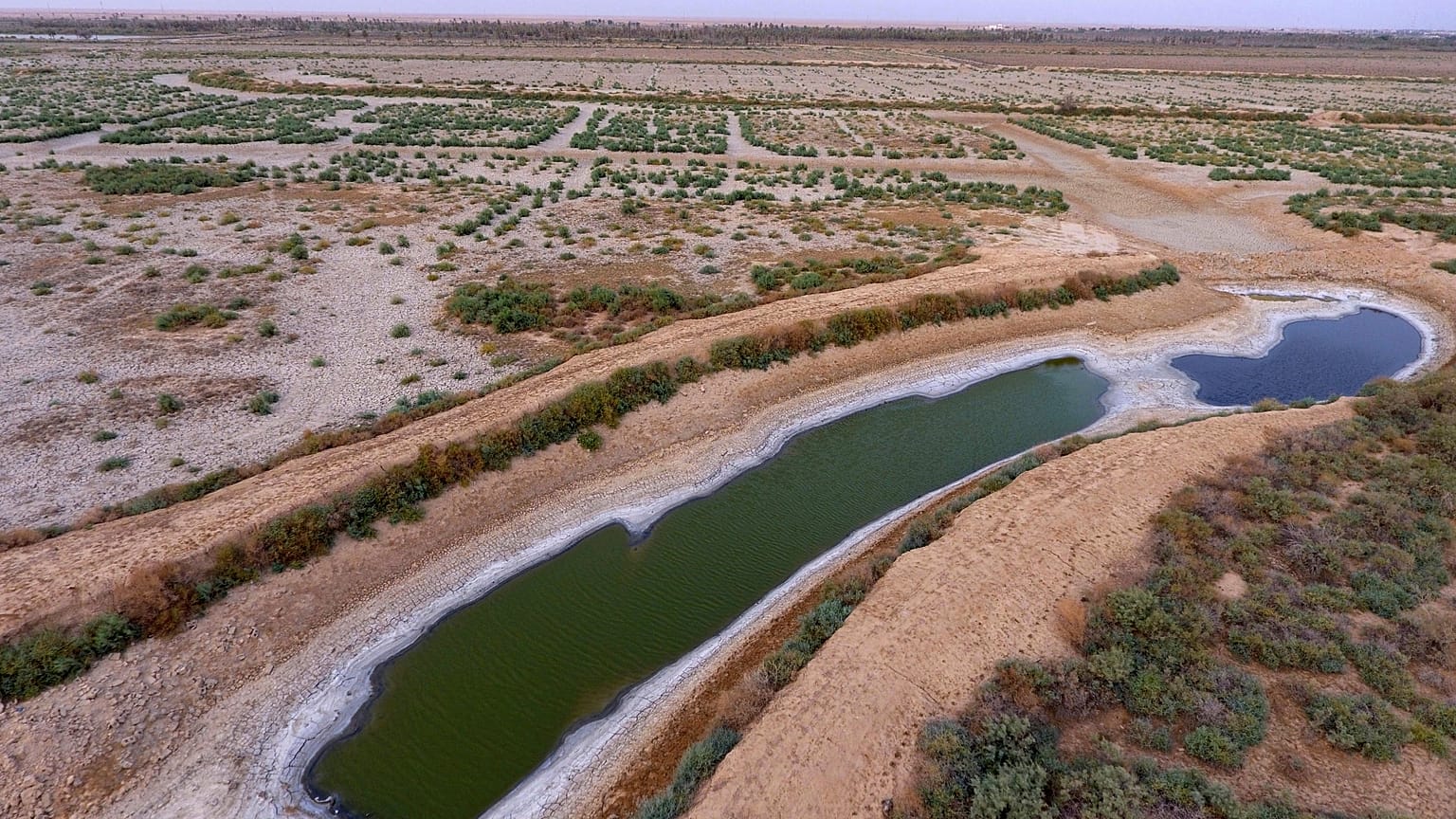 کشاورزی در ایران