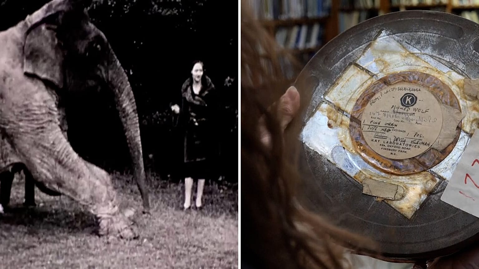 London Zoo archivists ask for public's help to uncover contents of mystery film reels