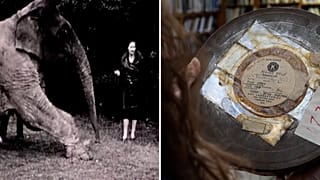 London Zoo archivists ask for public's help to uncover contents of mystery film reels