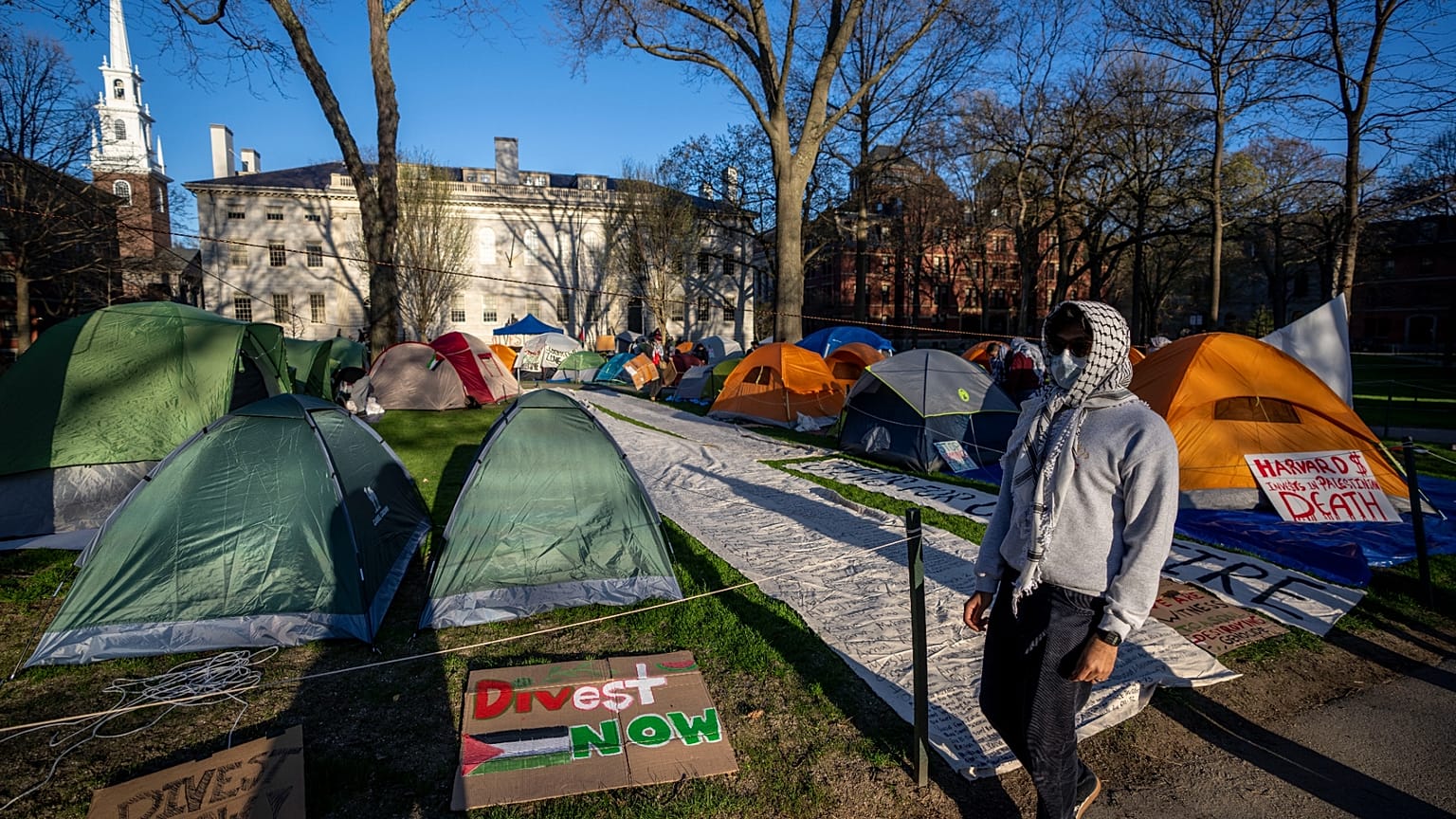 Uma cidade de tendas pró-palestiniana no campus da Universidade de Harvard, 25 de abril de 2024.