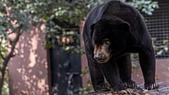 Foto von Regan Dsouza/Pexels