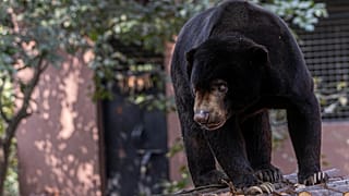 Photo de Regan Dsouza/Pexels