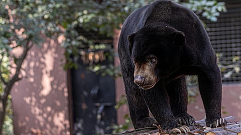 Photo de Regan Dsouza/Pexels