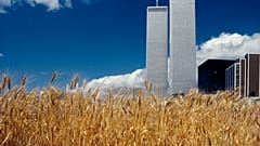 Dénes Ágnes ökológiai projektje, a manhattani búzatábla, 1982